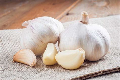 Can Dogs Eat Garlic? The Answer Might Surprise You! | Dog Training Nation