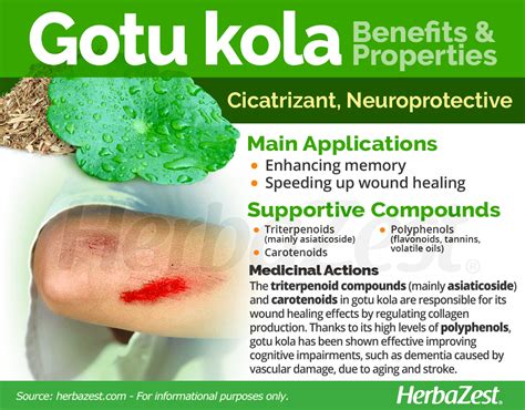 Gotu Kola Benefits For Your Skin And Hair That You Were Not, 58% OFF