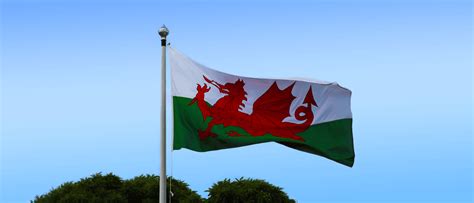 Welsh flag banner.fw - Army Families Federation