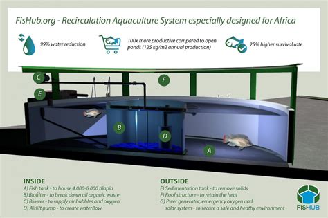 FisHub | a Recirculating Aquaculture System (RAS) for Africa