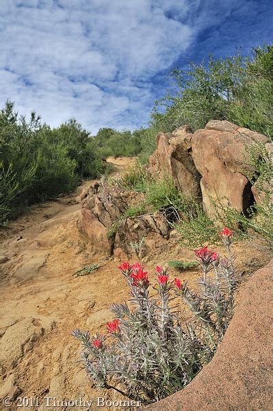 Information about "stebbins-cold-canyon-trail.jpg" on stebbins cold canyon reserve - Davis ...