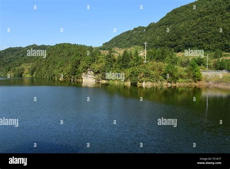 Fish pond grass carp Stock Photo - Alamy