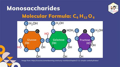 Structure Of Monosaccharides Disaccharides And Polysaccharides