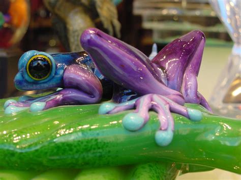 glass frog by sfwreckingcrew on DeviantArt