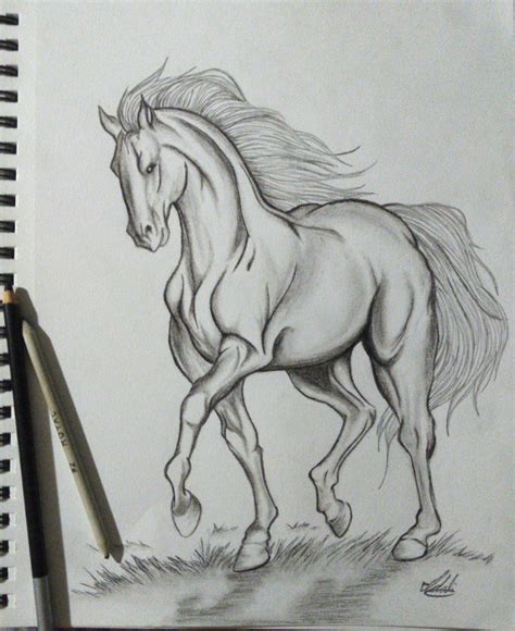 Horse pencil Drawing | Horse sketch, Horse art drawing, Nature art drawings