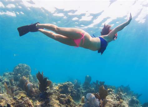 Key West Snorkeling | Visit The Coral Reef by Catamaran