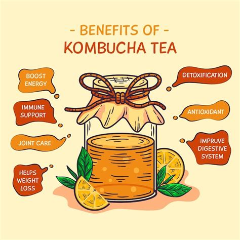 Free Vector | Benefits of kombucha tea illustrated