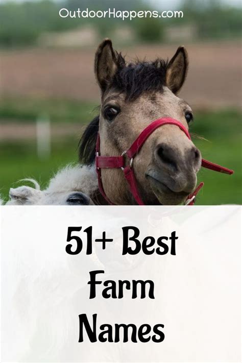 51+ Best Farm Names in 2021 | Farm name, Farm, Backyard farming