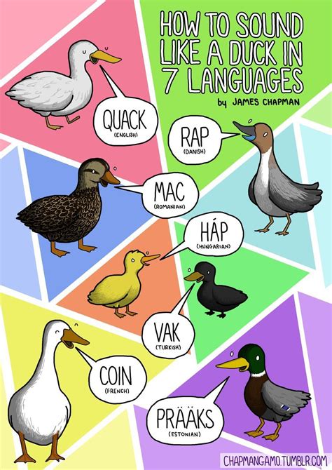 How Animals Sound in Different Languages Around The World in 2020 | Animal sounds, European day ...