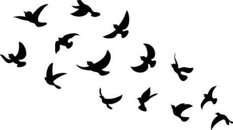 Bird Vector Art, Icons, and Graphics for Free Download