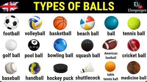 Ball Vocabulary Types Of Balls Different Types Of Ball Easy English Learning Process – NBKomputer