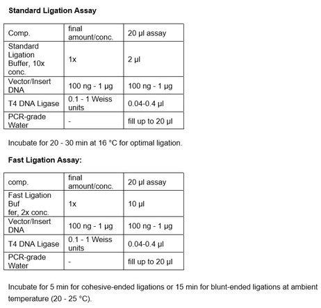 T 4 DNA Ligase in Weiss units - GeneON BioScience