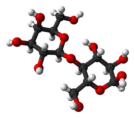 Carbohydrates: Definition, Formula, Classification, Importance, Examples