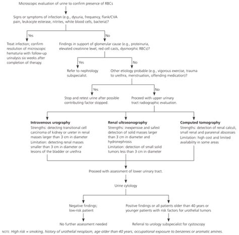 Assessment of Microscopic Hematuria in Adults | AAFP