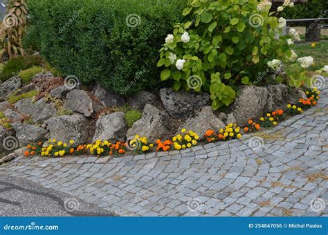 Perennial Flower Beds with Annual Flowers on the Edge of the Stock ...