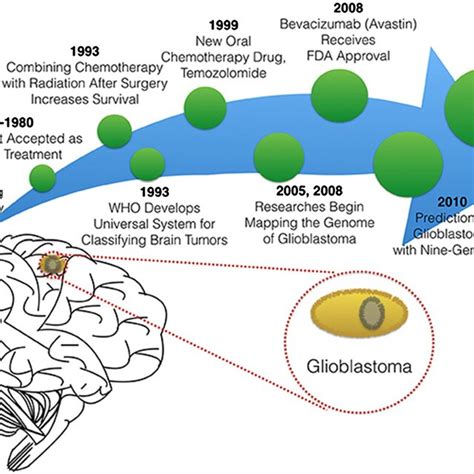 The course of treatment for glioblastoma in Ozdemir‐Kaynak et al.¹ ...