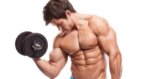 ¿Masa muscular = fuerza muscular? | Mundo Entrenamiento