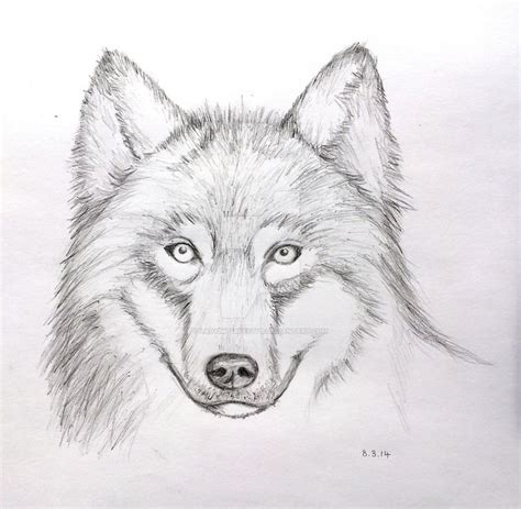 Pin on Wolf painting