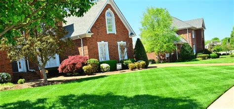 Best Lawn Care Advice For East Tennessee