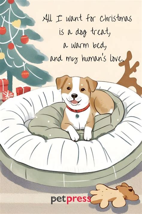 85 Dog Christmas Card Quotes: Bringing Happiness This Season