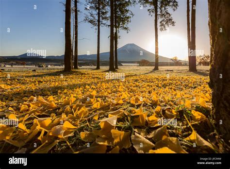 Mount Fuji Sunrise Stock Photo - Alamy