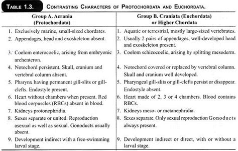 Classification of Phylum Chordata (With Characters) | Zoology