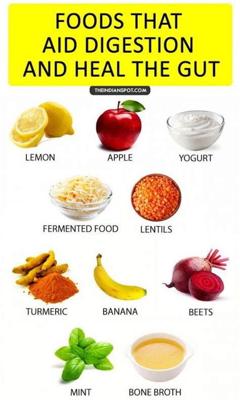 Colonoscopy Beverly Hills explains why these foods aid your gut and improve overall health. #d ...