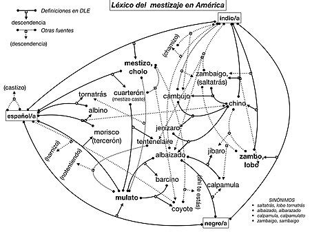 Sistema de castas colonial - Wikipedia, la enciclopedia libre | Mestizaje, La enciclopedia libre ...