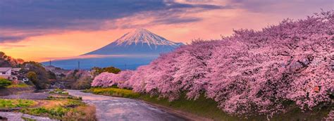 10 Best Wildlife, landscapes and nature Tours in Japan – Compare Prices and Reviews | Bookmundi