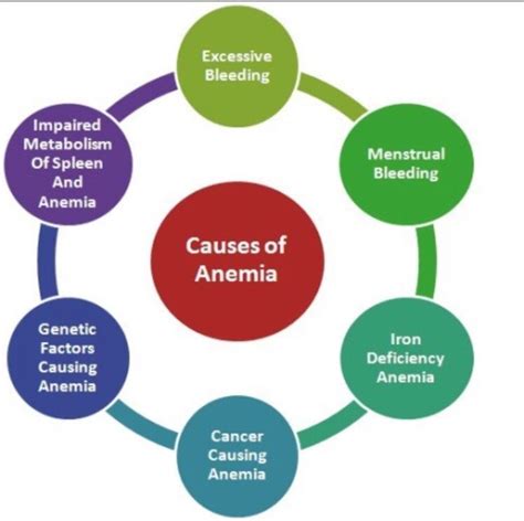 Anemia in Men & Older Women Means Cancer - Macs Blogs