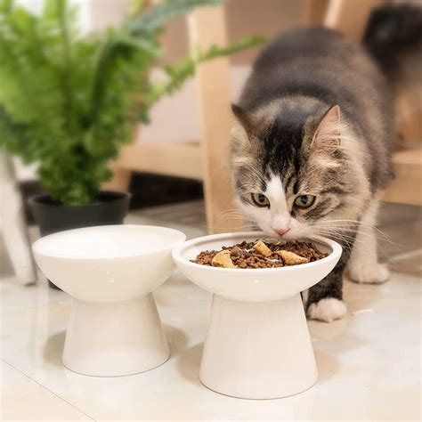 Extra Wide Raised Cat Bowls - Anti-Vomiting & Stress-Free Feeding ...