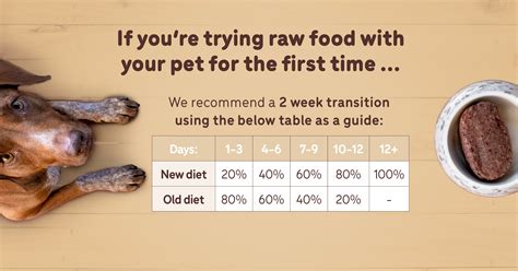 How Do I Transition My Puppy From Raw Food To Kibble