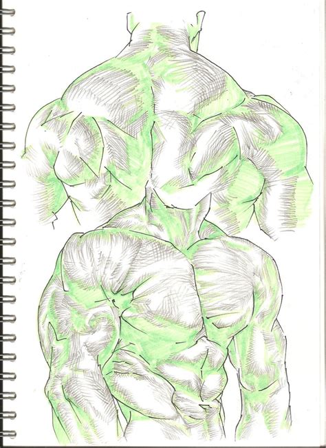 Muscle Study by ShotaKotake.deviantart.com on @deviantART || CHARACTER ...