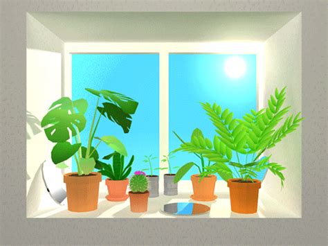 house plants | GIF | PrimoGIF