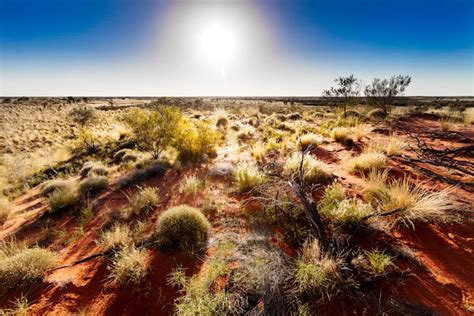 What do Aboriginal Australians want from their aged care system ...