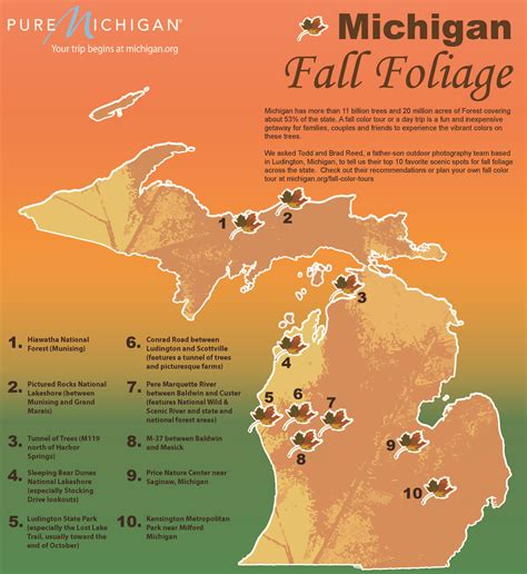 Michigan Fall Color Map 2024 Update - summer camp 2023