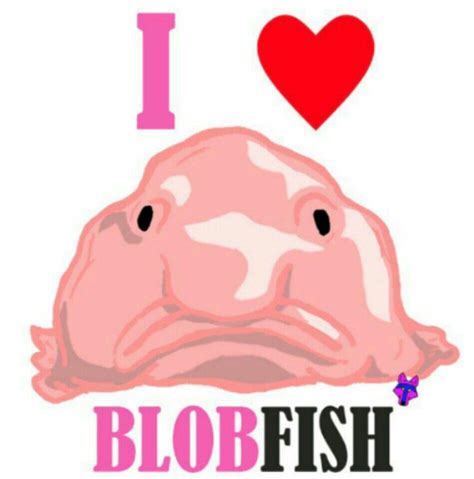 Life Cycle Of A Blobfish