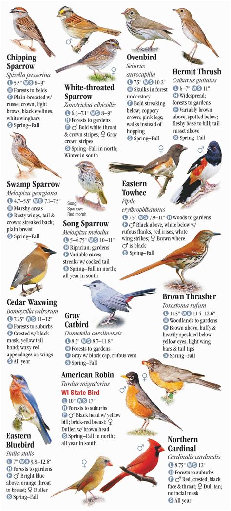 Birds of Wisconsin – Quick Reference Publishing Retail