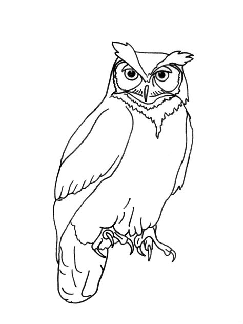 Owl outline for nursery wall | Owls drawing, Owl outline, Owl drawing ...