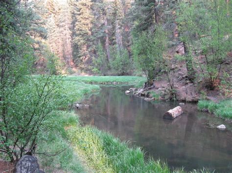 East Fork Jemez River - Jemez Central Jemez Central