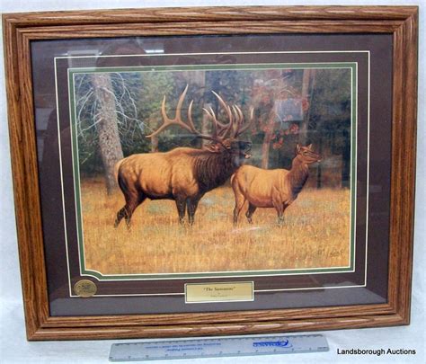 FRAMED WILDLIFE PRINTS