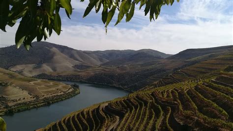 Régua | Pinhão - Upstream by Boat - Portugal By Wine - Wine Tourism in Portugal