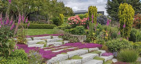 Creeping Thyme: How to Grow & Landscaping Ideas - AMERICAN GARDENER