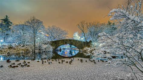 Bow Bridge in winter (Central Park) - backiee