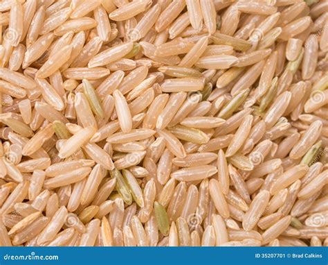 Brown Rice Stock Image - Image: 35207701