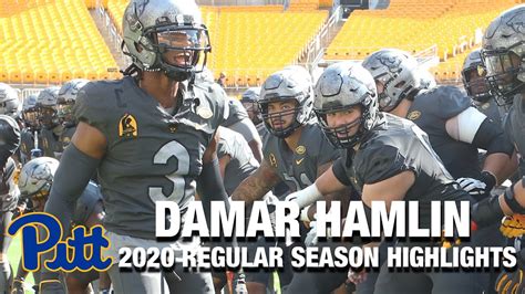 Damar Hamlin 2020 Regular Season Highlights | Pittsburgh DB - YouTube