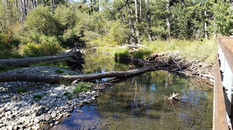 Rainbow Trail - California | AllTrails