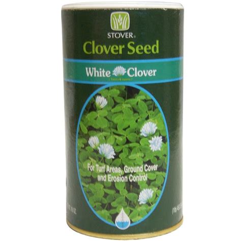 Stover Seed White Clover Seed-73010-6 - The Home Depot