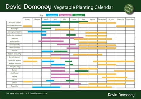 Grow your own veg with my planting calendar - David Domoney