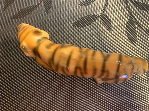 Vintage Ceramic Tiger Figurine-made in Japan - Etsy